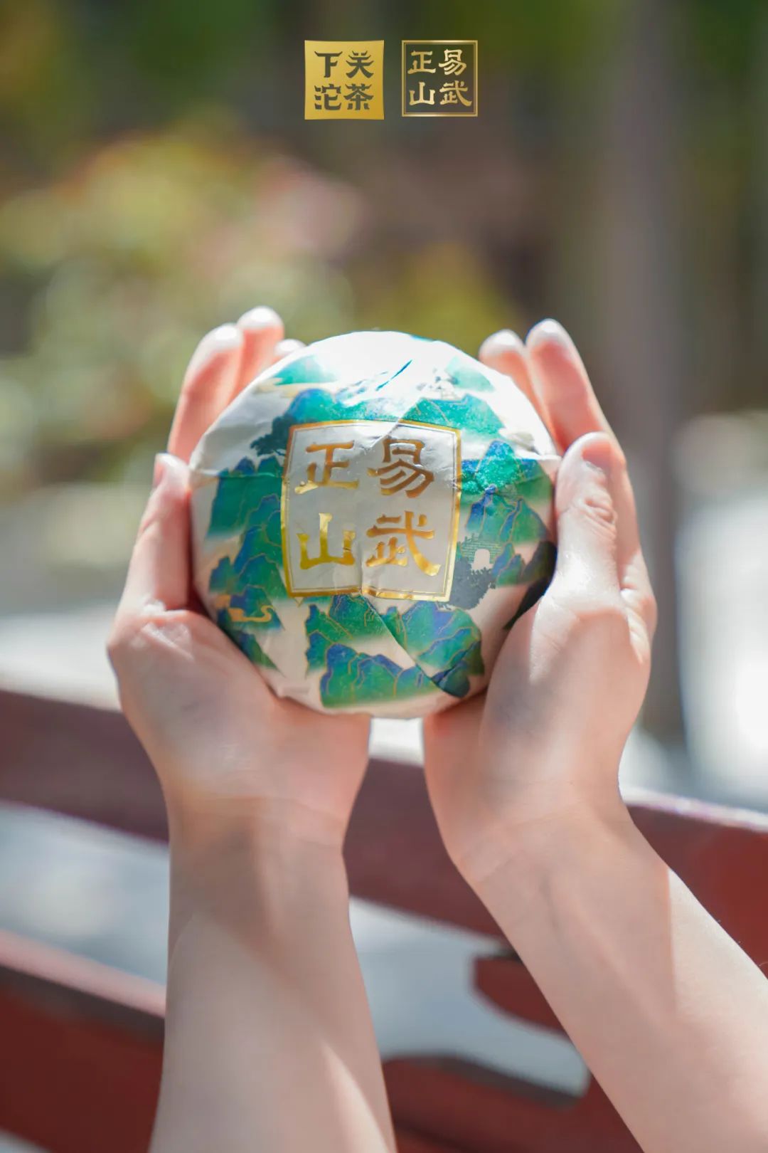 易武正山与易武乔木有何区别,正山小种茶农世家