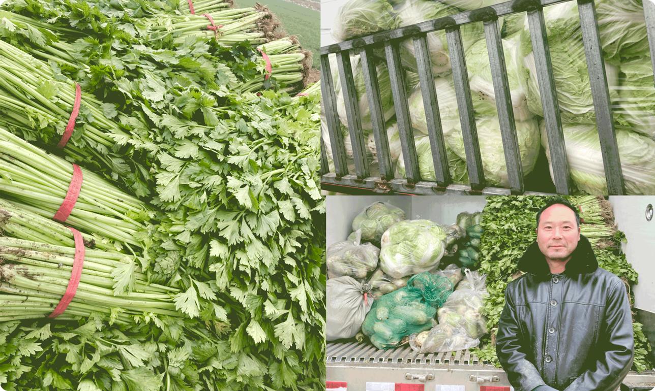 奉献爱心助力学子,奉献爱心全力助农