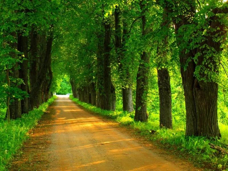 心旷神怡风景壁纸,100张绝美自然风景壁纸