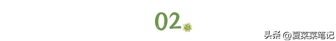 怎样做微头条才有收入,如何做微头条赚钱