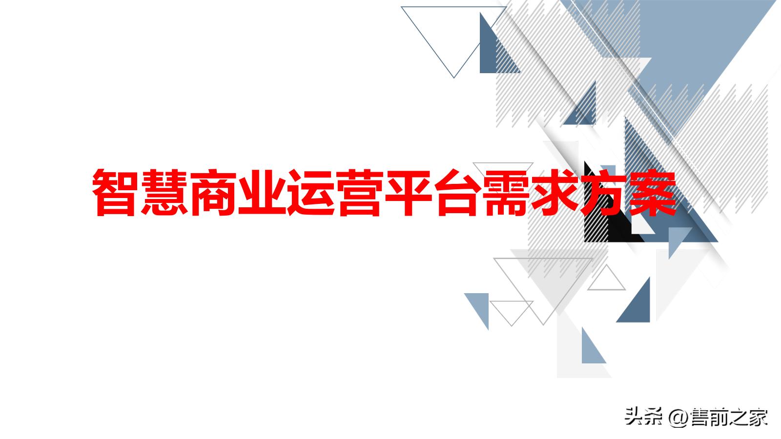 技术型商业运营方案,商业平台的管理和运营方案