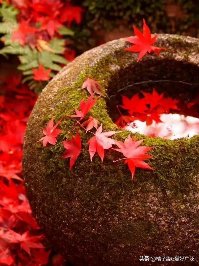 何为真正的读书人,什么是读书人的使命