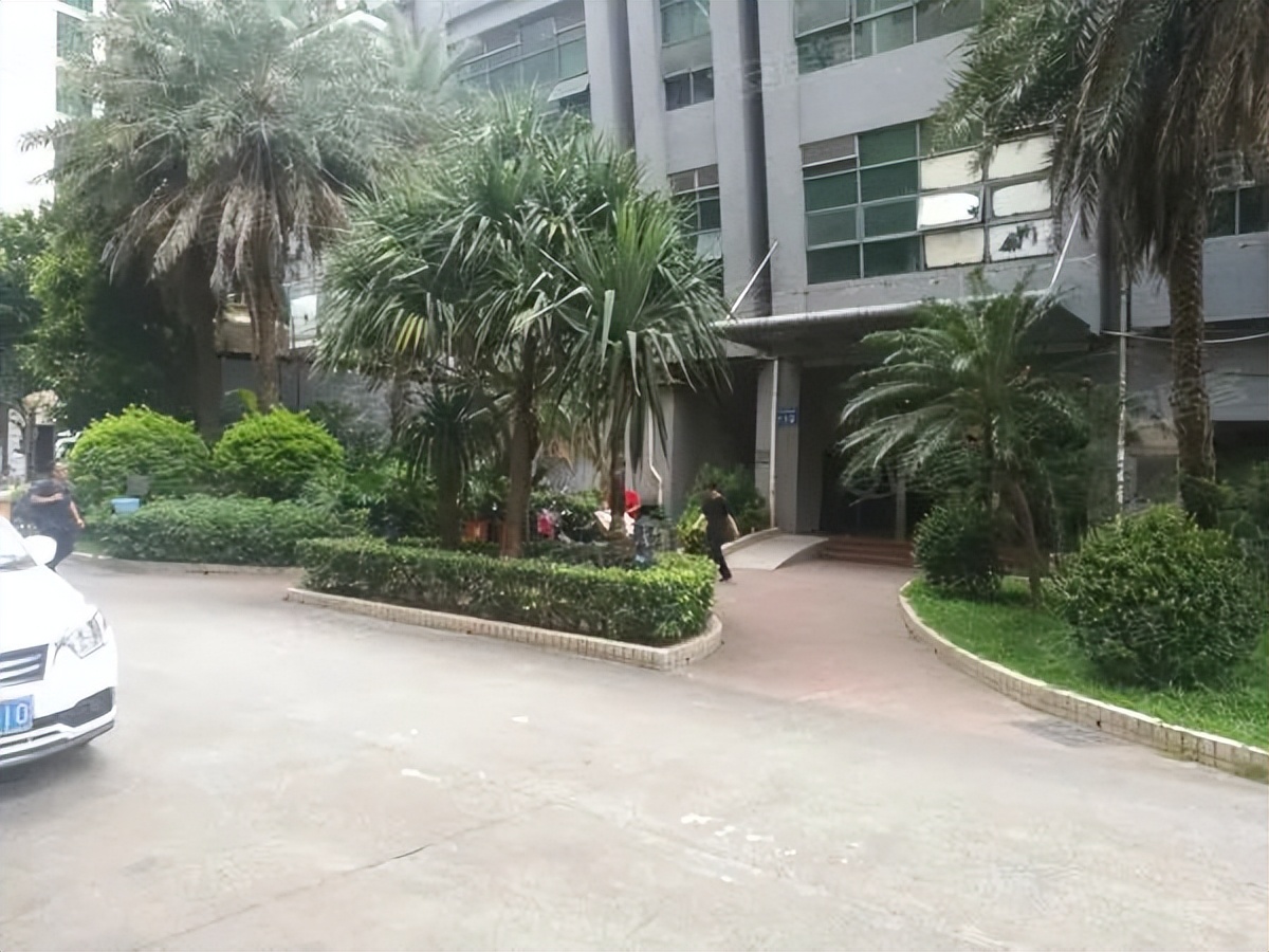 粤剧、醒狮、武术、科技……TA有39个宝藏社团？