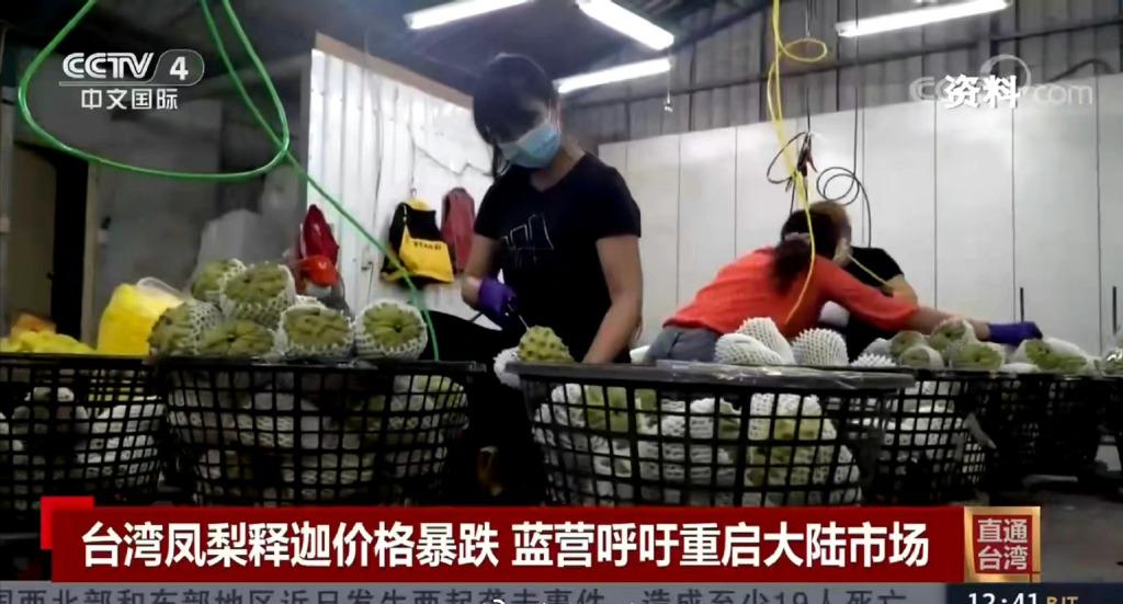 澶ч檰鏆傚仠杩涘彛鍑ゆⅷ鎹熷け澶氬皯,鍙版咕鍑ゆⅷ閲婅喀婊為攢鍐滄皯