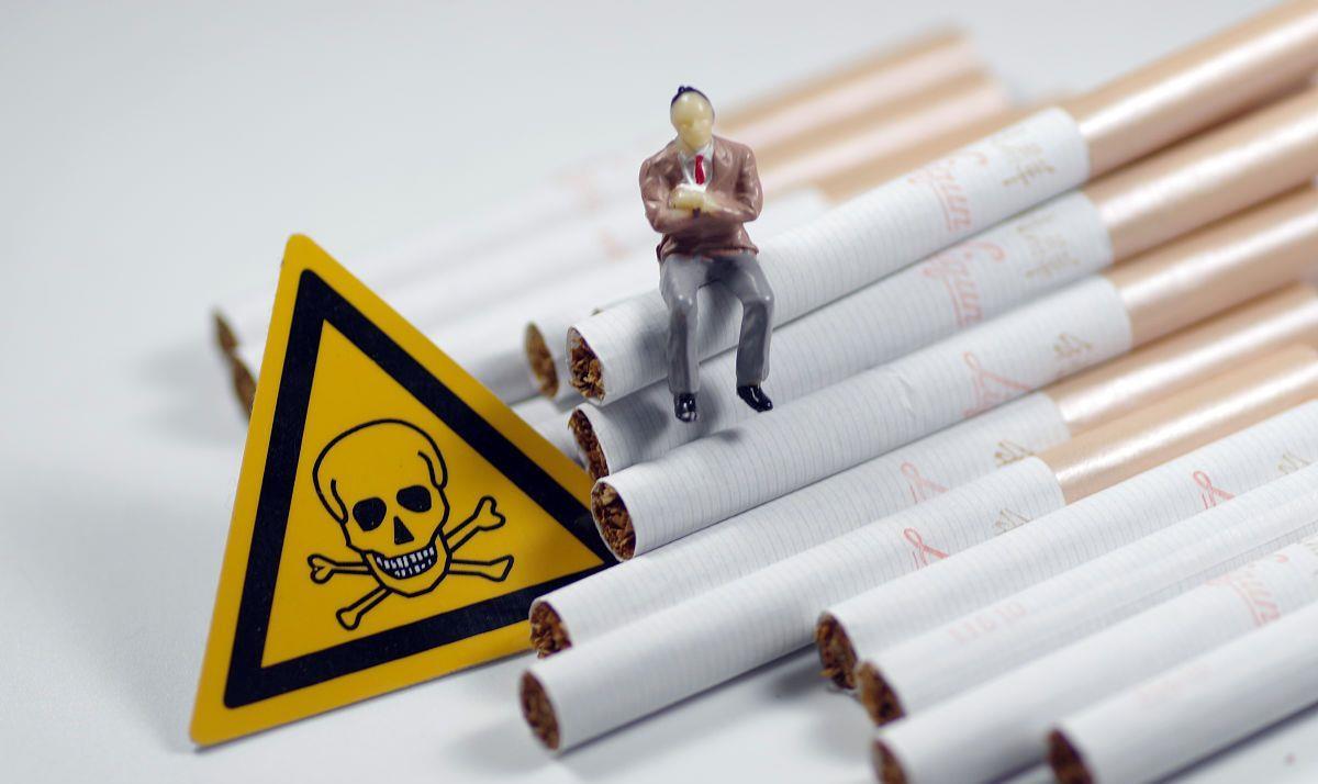 正宗的最便宜雪茄多少钱一盒,一支雪茄为啥能卖782万天价