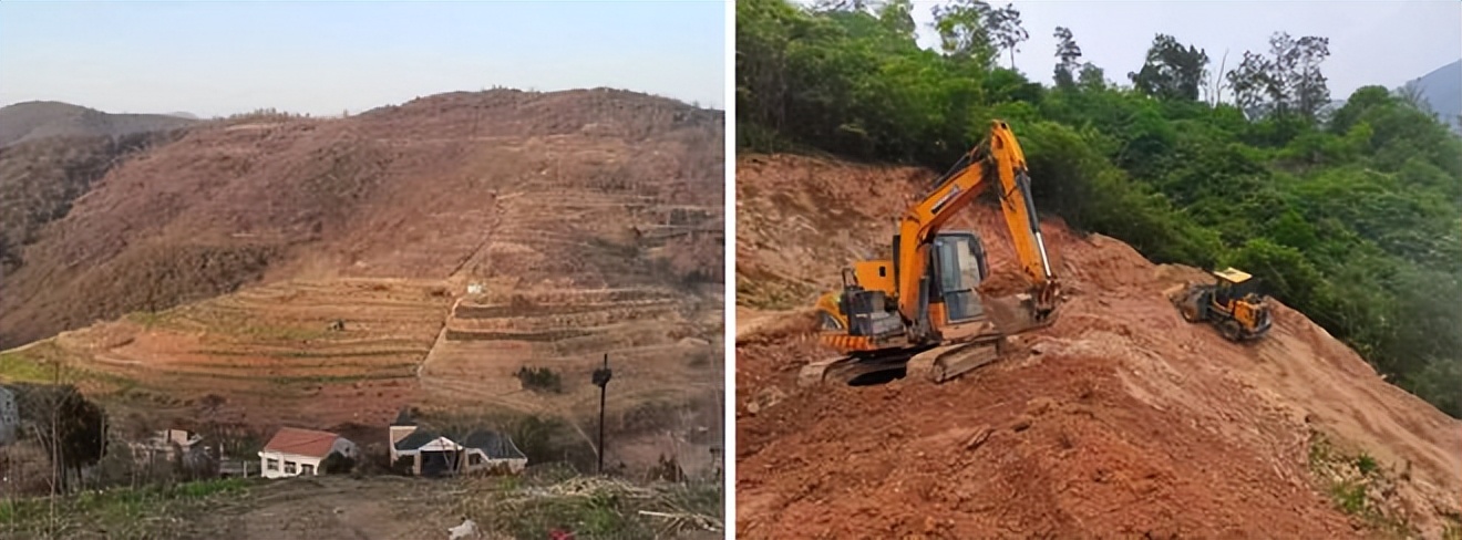 农村创业包地5000亩一年赚多少钱,90后包地创业