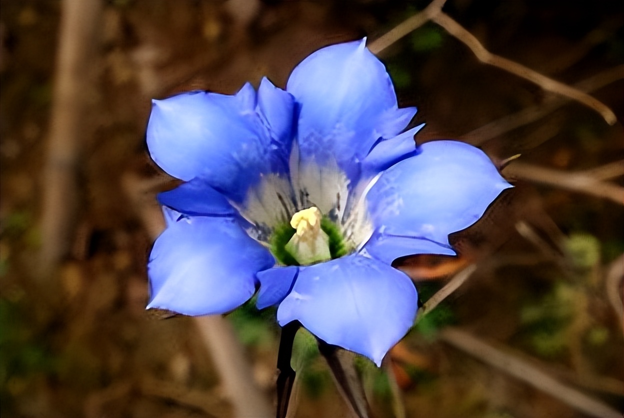 尿频自愈的最佳方法肾虚,补肾为什么出现尿频