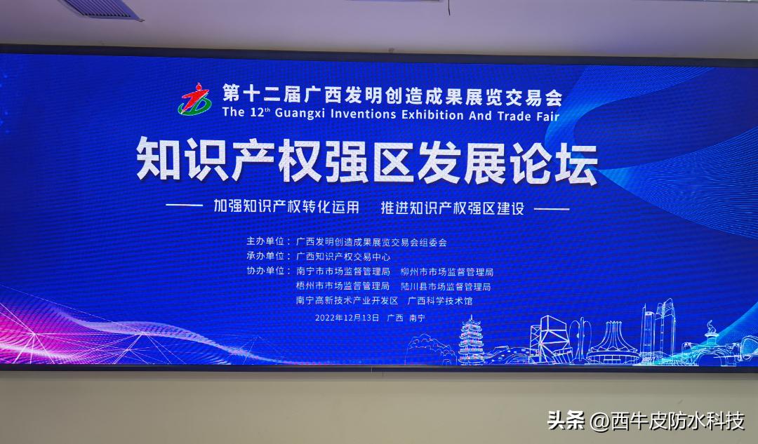 西牛皮分享“国家知识产权示范企业”先进管理经验