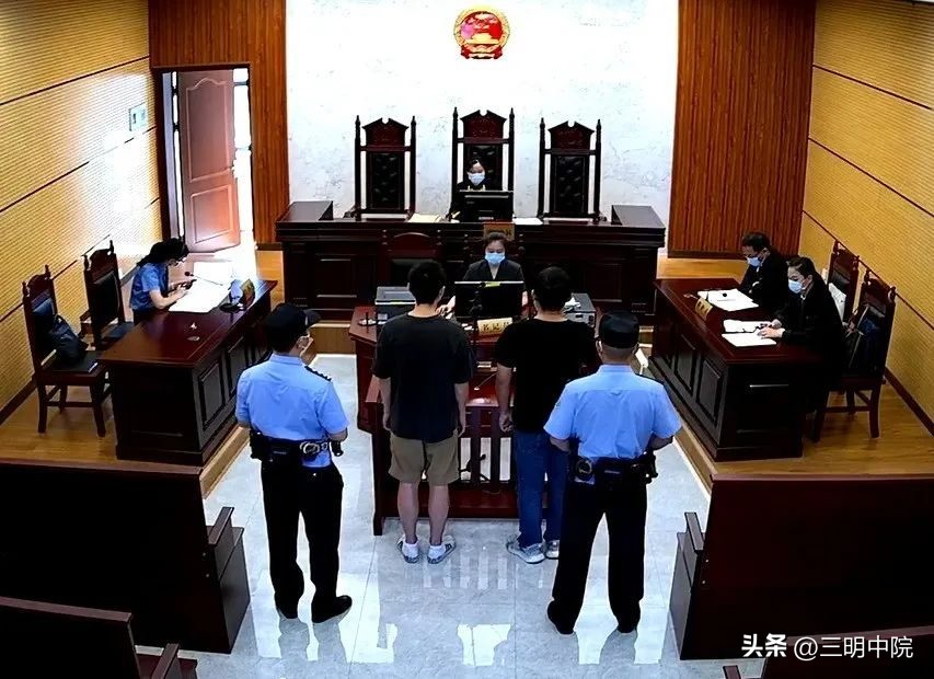 薅羊毛获利诈骗判多久,虚假退单薅羊毛非法获利终获刑