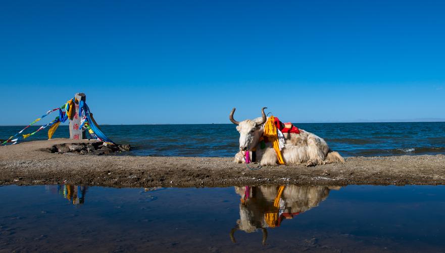 青海旅游小环线2日游240元,青海5日游小环线茶卡出发