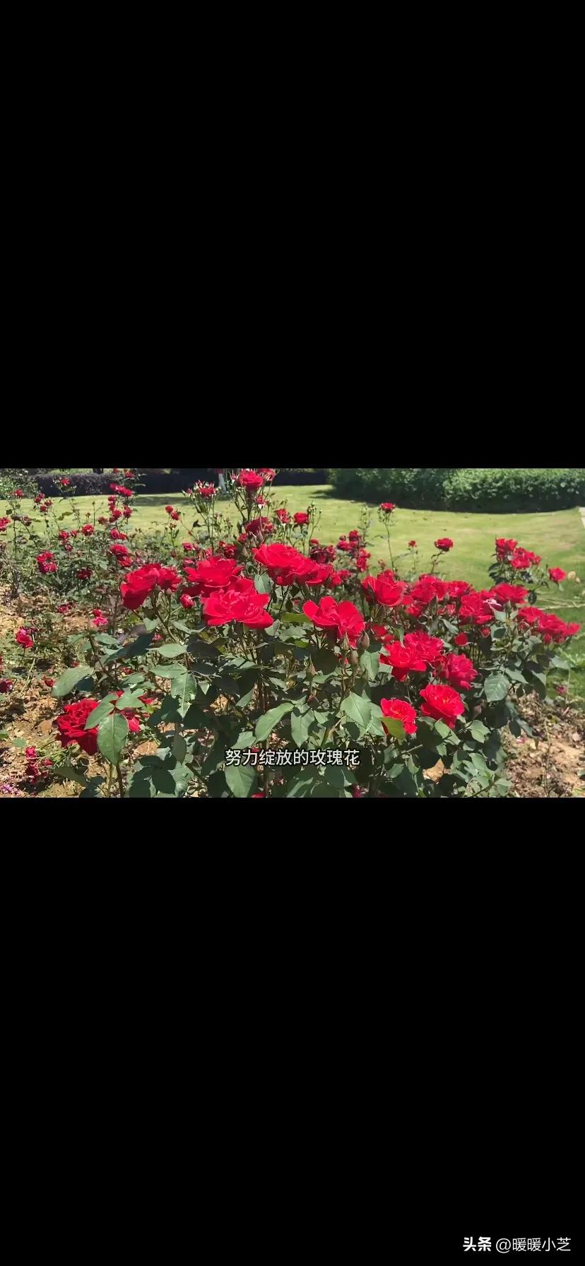 名副其实意思是什么,五一劳动节名副其实劳动的一天