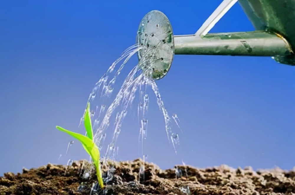 实用有趣省电省钱小窍门妙招姐,生活常识小窍门大全