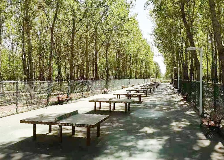 锐意进取开创全市体育工作新高度,顺义区的发展