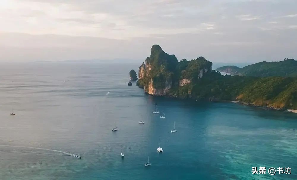 基于学习任务群的大单元设计,基于学习任务群的大单元设计培训