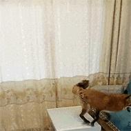 “U盘启动”别搞复杂!掌握这2种方法就够了,系统维护不求人