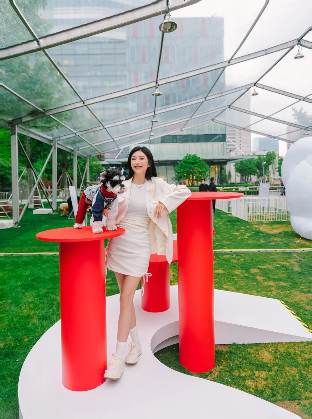 市区100平米宠物游乐园,宠物游乐场室内