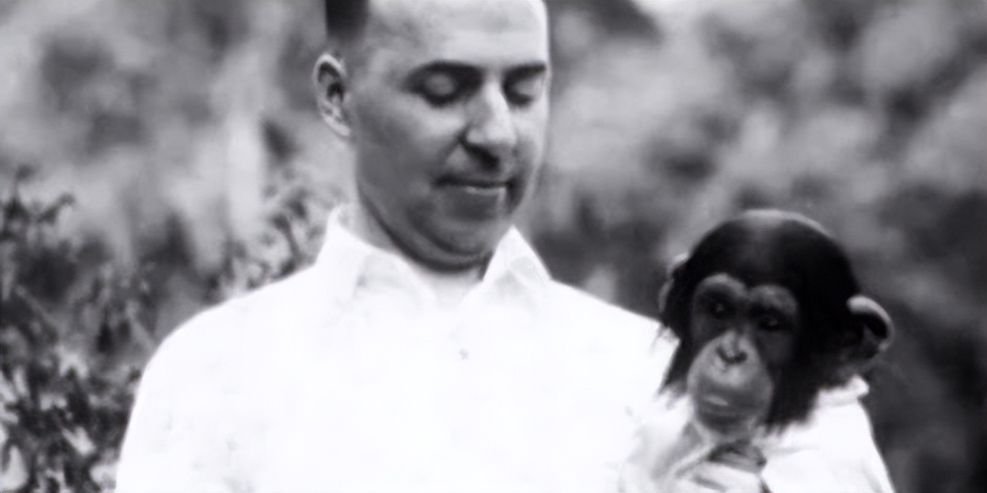 人类真的能杂交吗,人类动物能混血吗