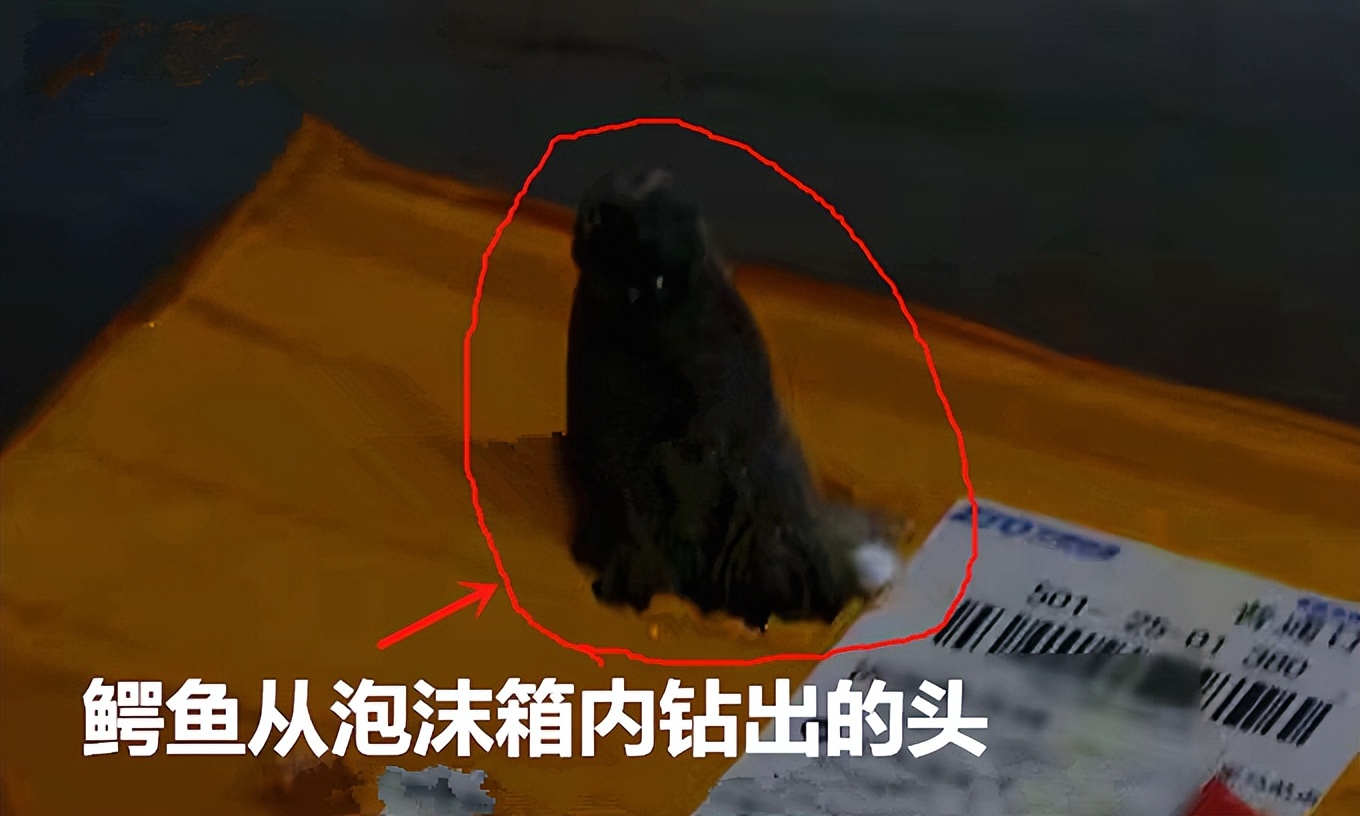 商家发错货要收到货才补发吗,商家发错货会追查到买家吗