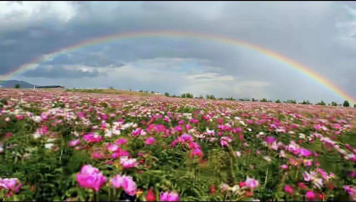 焦虑症痊愈者的忠告,从焦虑症走出来的经验同大家分享