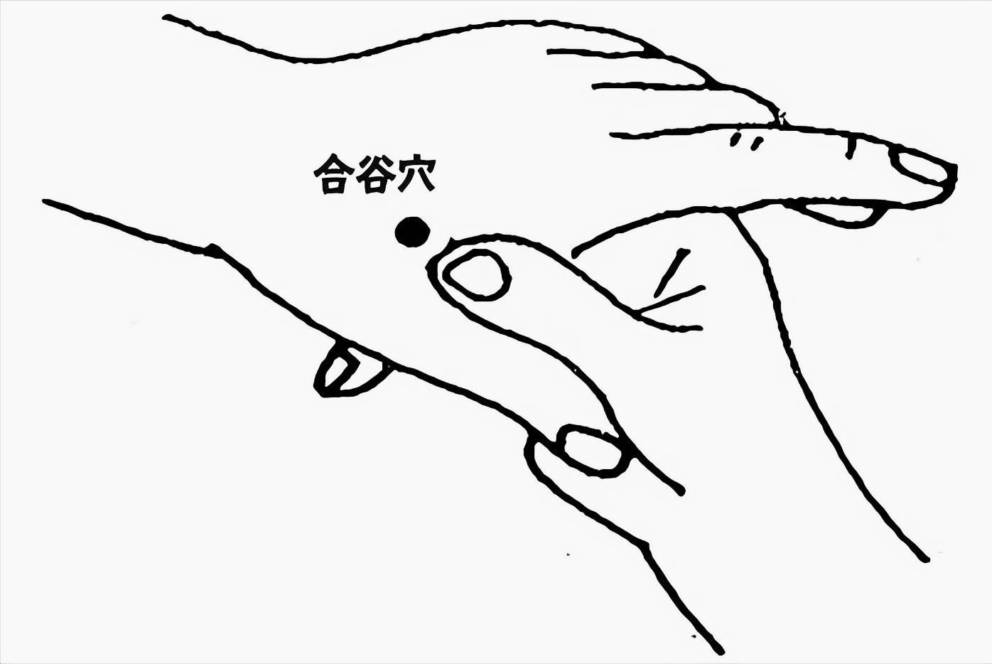 按什么穴位能润肠通便,润肠通便可以按哪些穴位