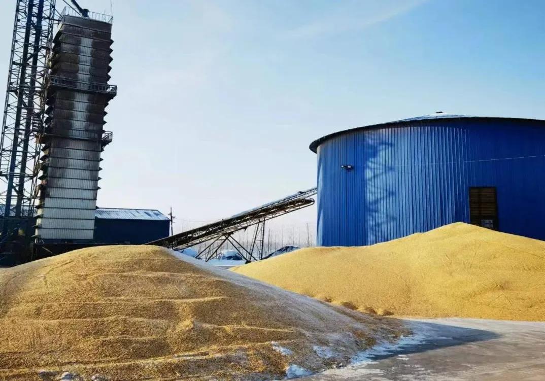 黑龙江明水县：巩固乡村振兴成果引进扶持新兴产业