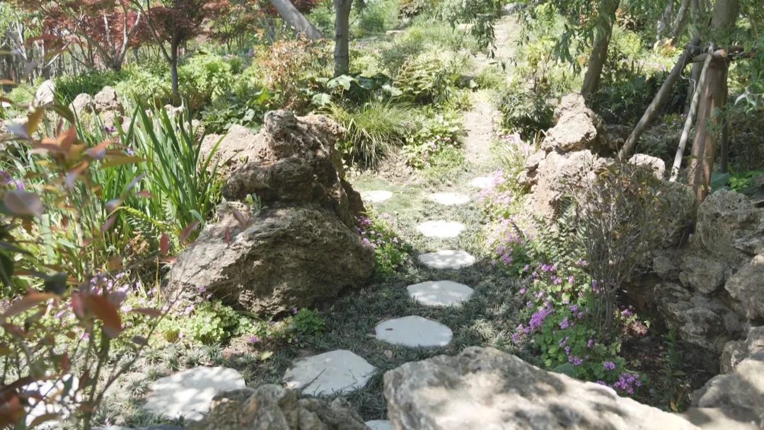 合庆郊野公园游玩攻略,合庆郊野公园二期