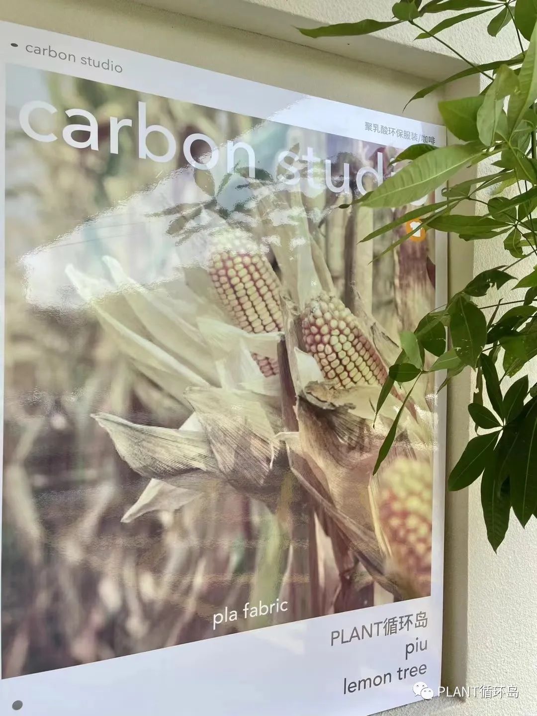 PLANT扯碳｜穿在身上的碳减排
