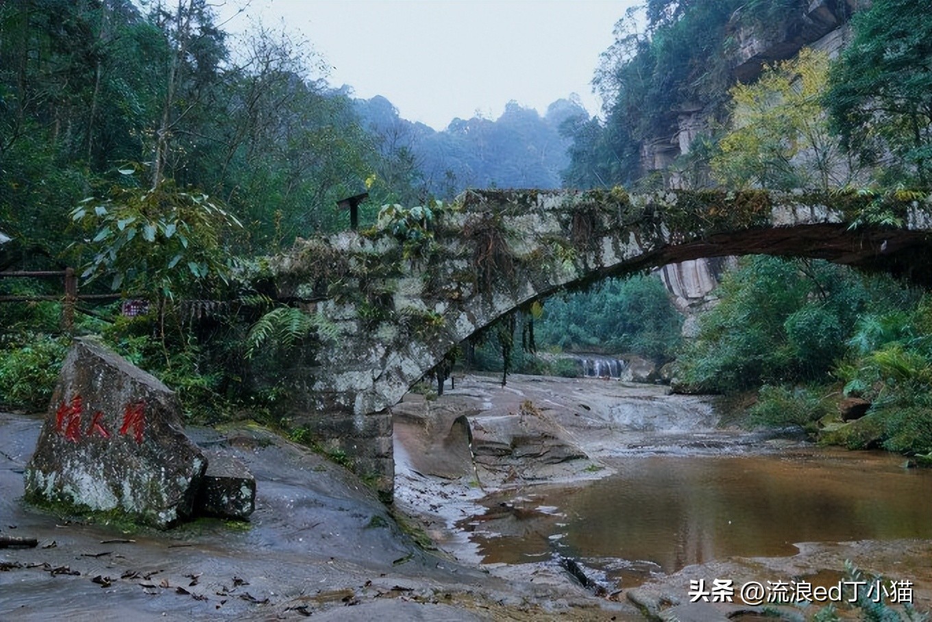 舌尖上的中国泸州古蔺椒麻鸡,古蔺麻辣鸡是哪里的特色小吃