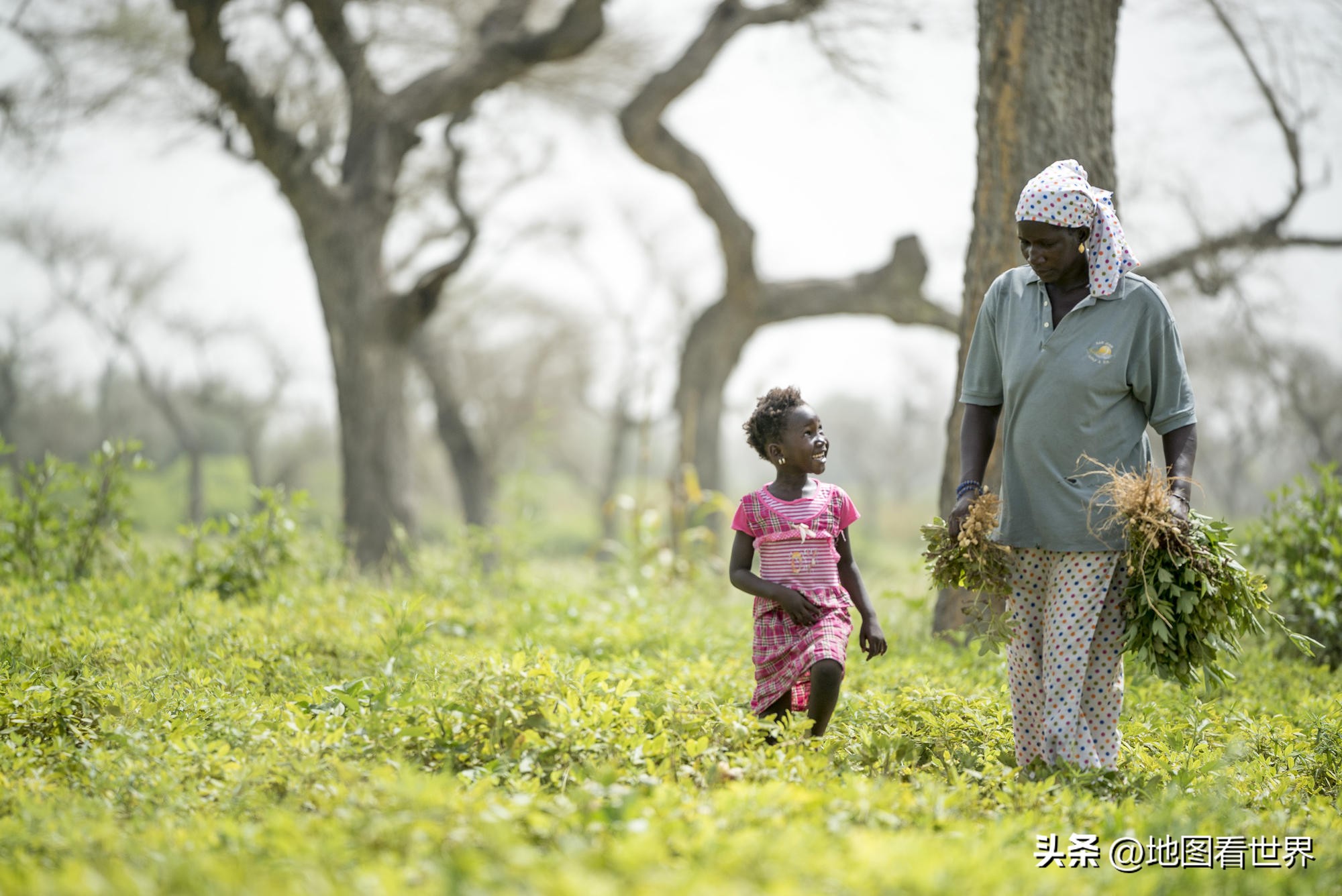 2022世界杯塞内加尔之旅,世界杯2022塞内加尔球队合集