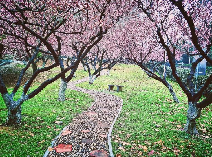 诗路花雨封底,诗路花语繁体怎么写