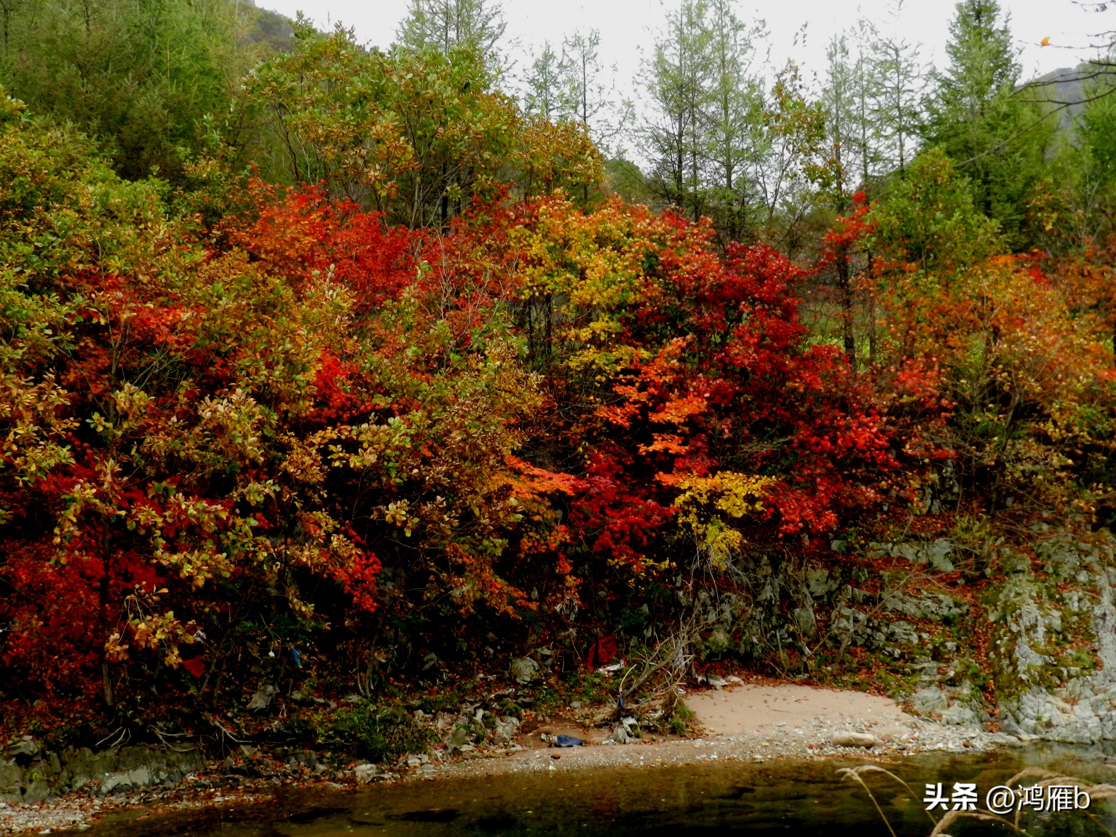 本溪温泉汤沟门票价格,本溪花溪沐枫雪温泉小镇