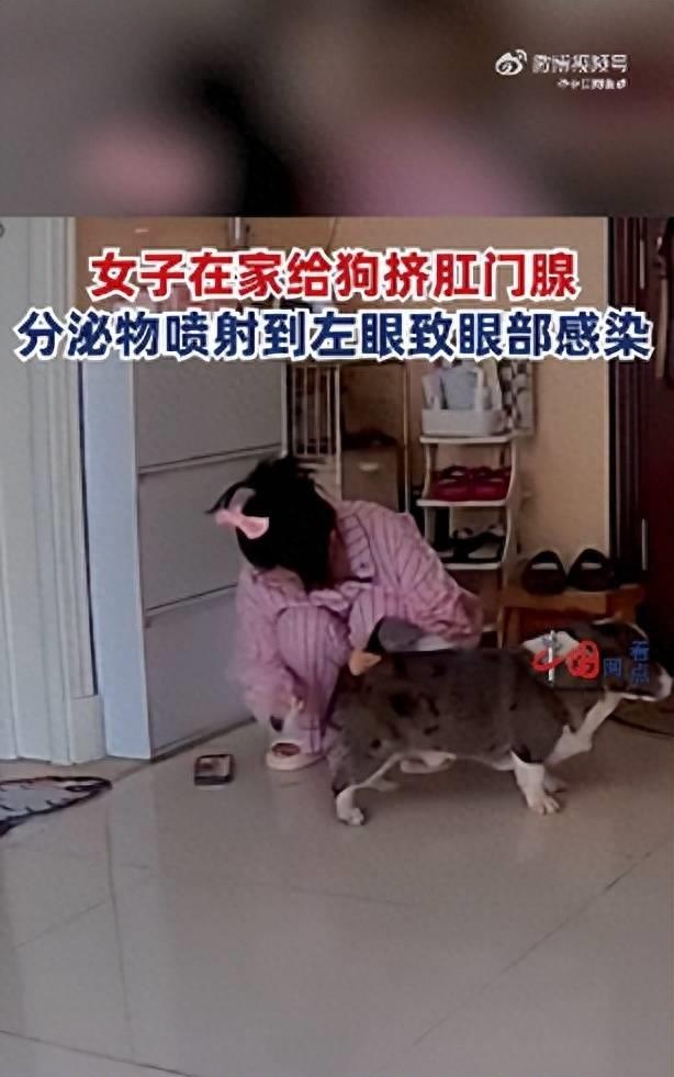 女子为宠物挤肛门腺，不慎致异物喷射眼睛，医生开消炎药治疗