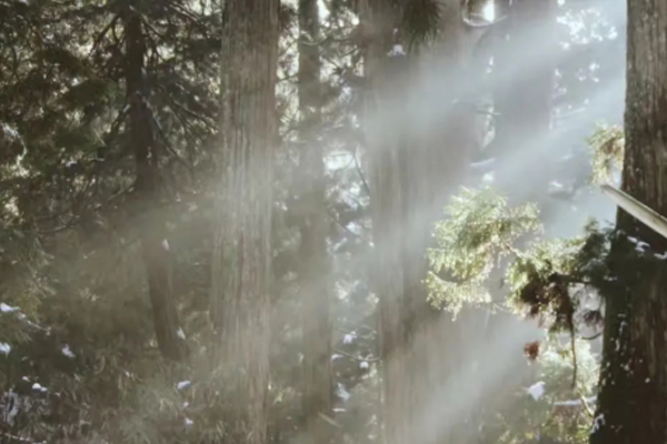 常建晨游破山寺作诗,创造一个经典成语,如今成小学生必背的名篇