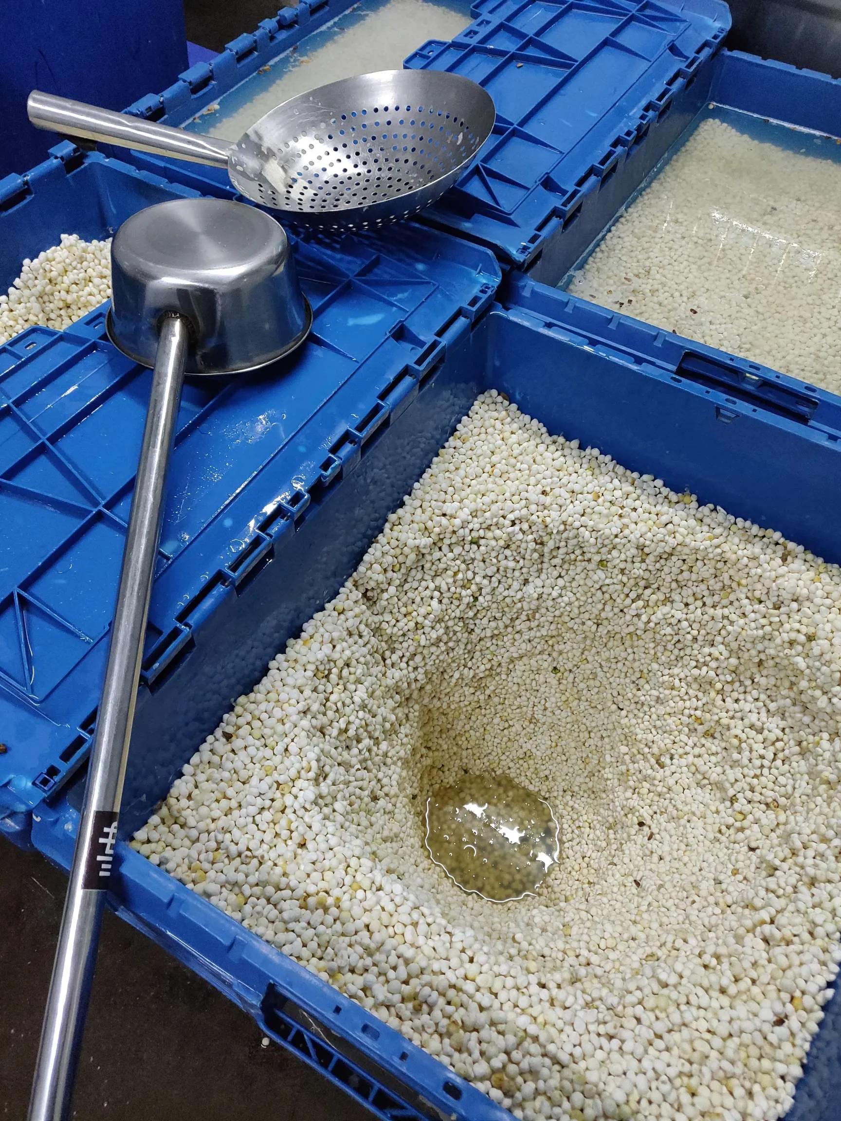 医药同源，医者，将也，药者，兵也