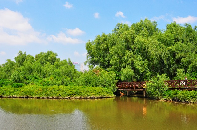 惠州自驾游十大免费景点推荐,惠州一日游必去十大景点