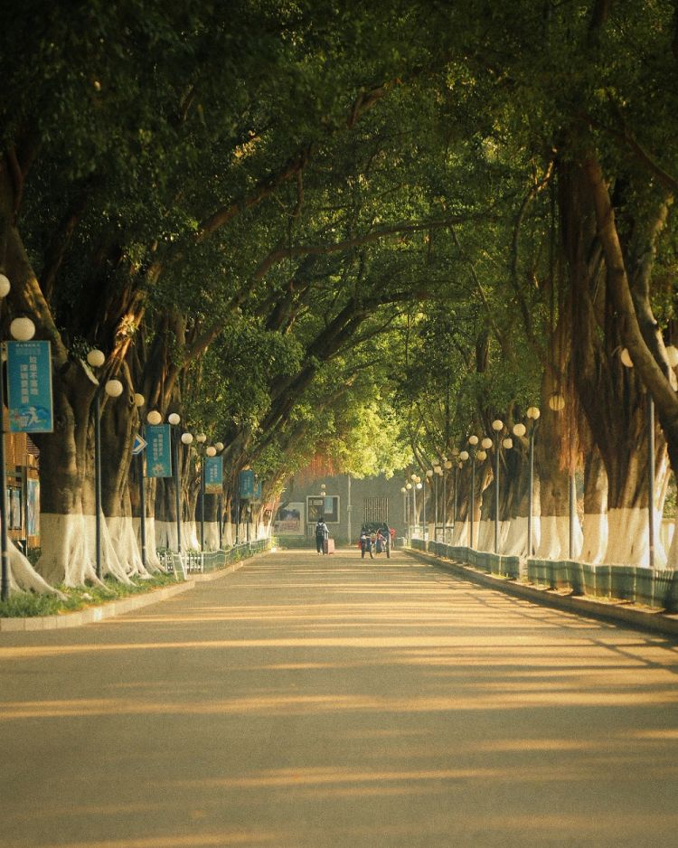 深圳光明区高级中学是公办吗,深圳光明高级中学初中部招生电话