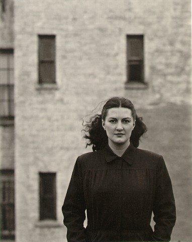 哈里卡拉汉摄影作品,哈里卡拉汉摄影