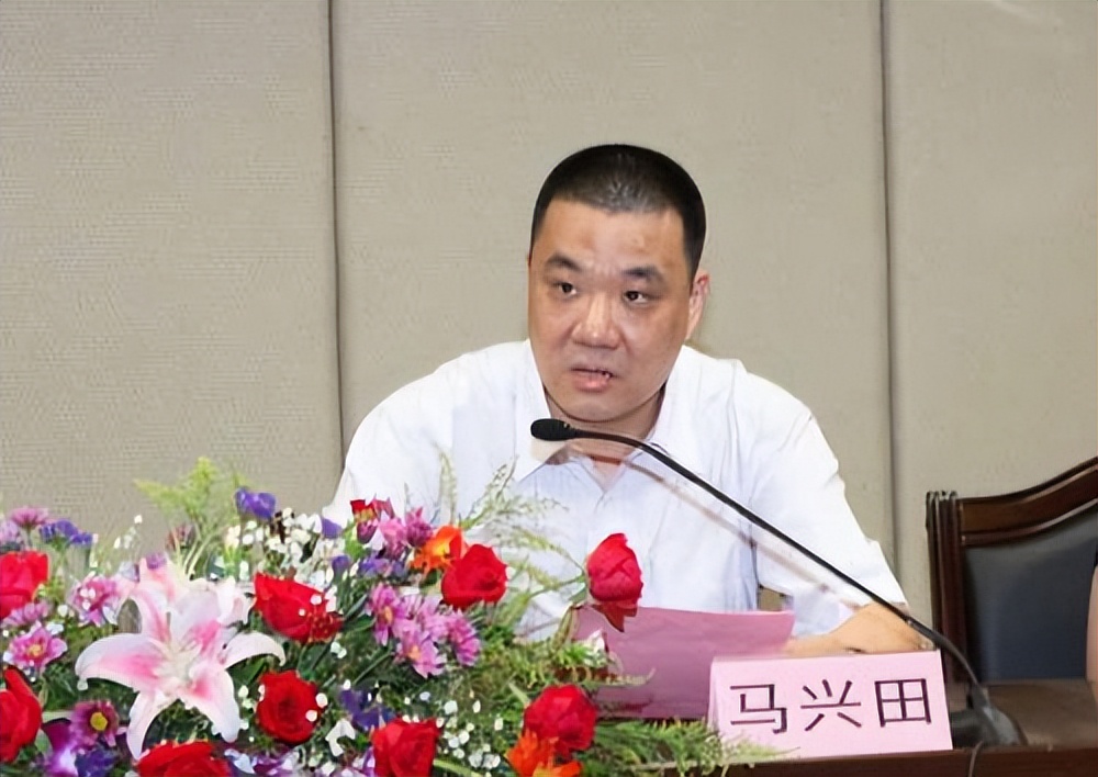 康美药业财务造假股民能追回吗,a股财务造假公司名单康美