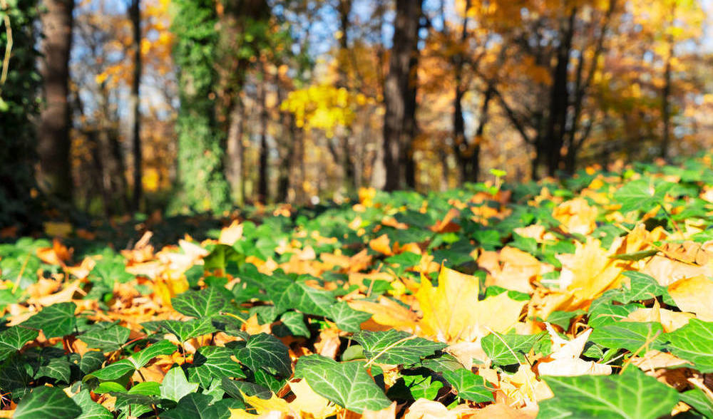 如何给孩子们讲解秋分,今日秋分要注意什么