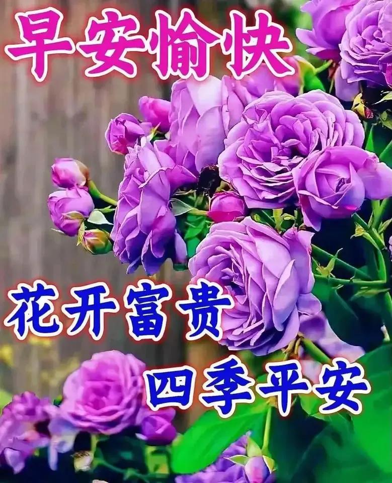 2023年02月27日星期一农历:癸卯年【兔年】二月初八八九第5天