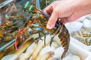 100元能在世界各地买什么,100元在世界各地都能买到什么