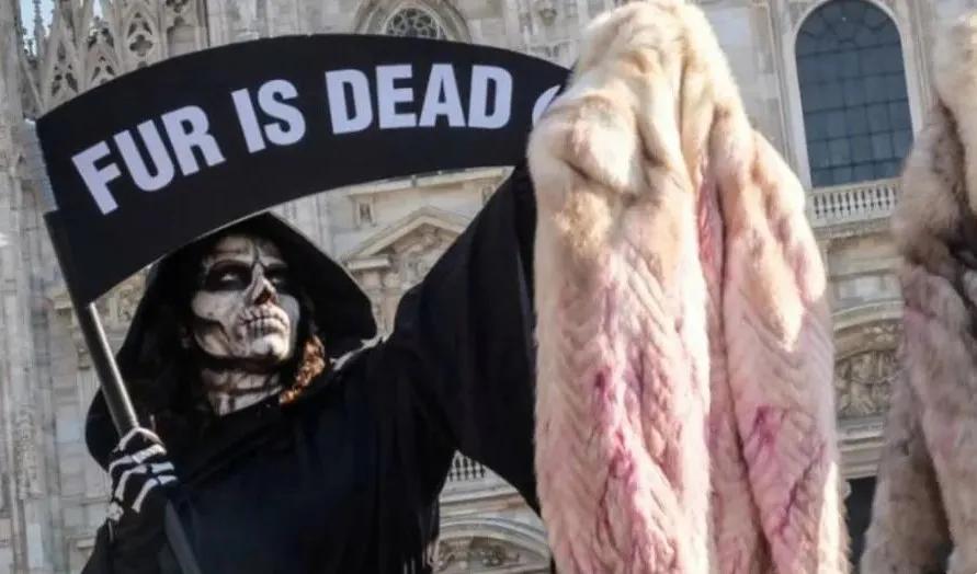 法国禁止饲养动物,意大利禁止产销培养肉