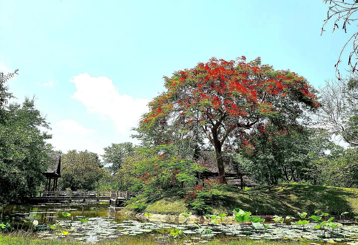 云南红河哈尼族彝族自治州景区,云南五一免门票景区名单2022