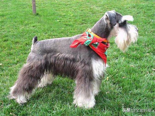 各省地图大图,各个省区的地图哪里找到