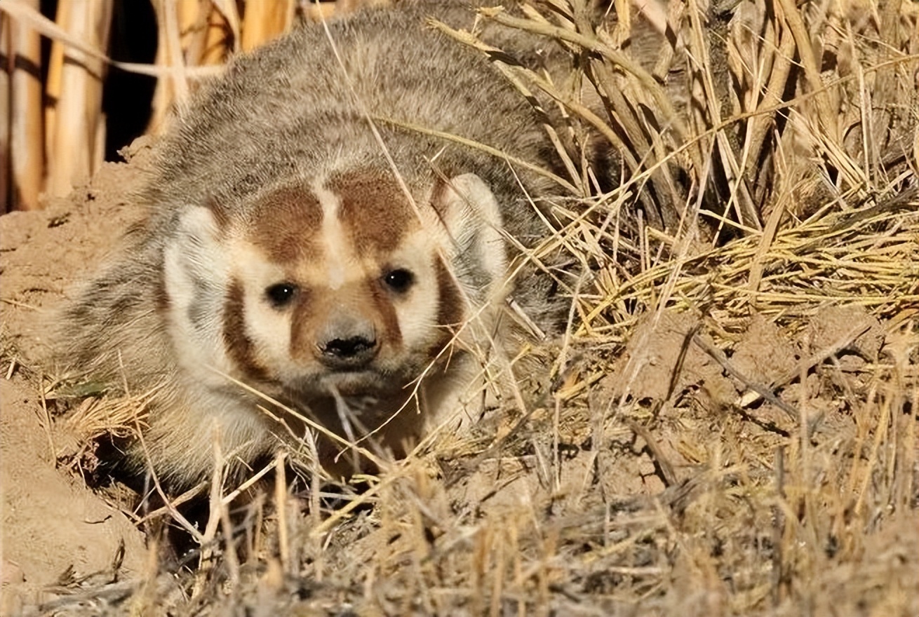 许昌的冬天有多冷,许昌的冬天会冷吗