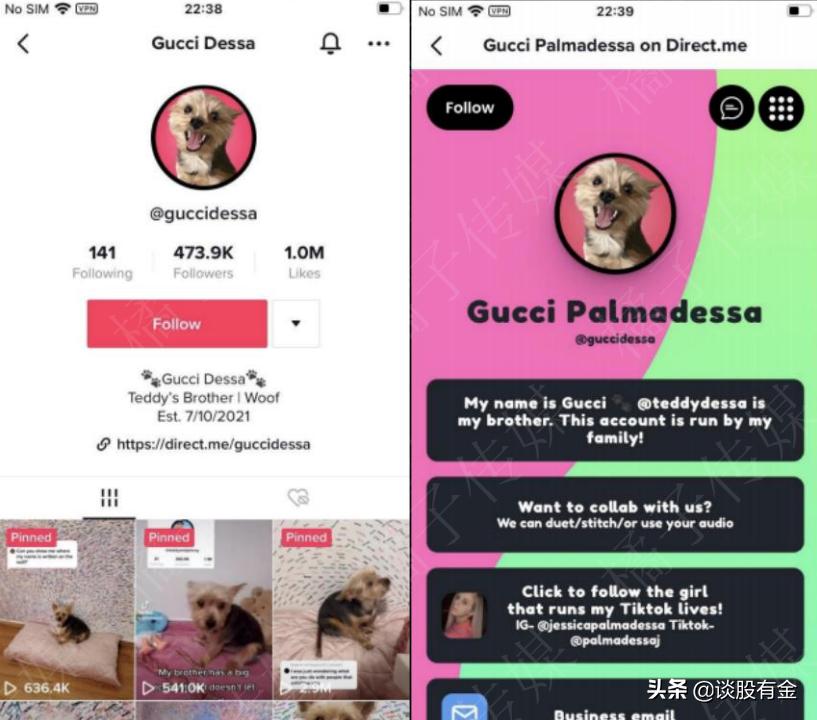 tiktok日本版抖音,海外抖音tiktok安卓