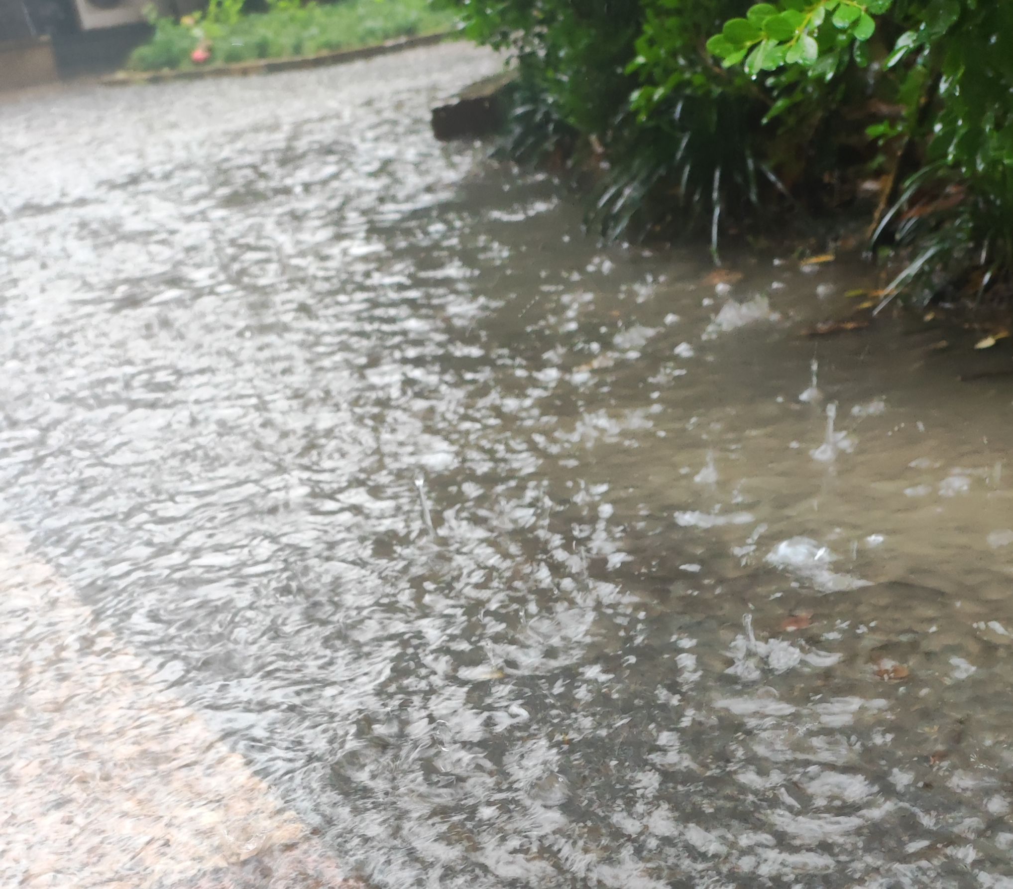 正式入夏！湖州今年夏季高温天会多吗？