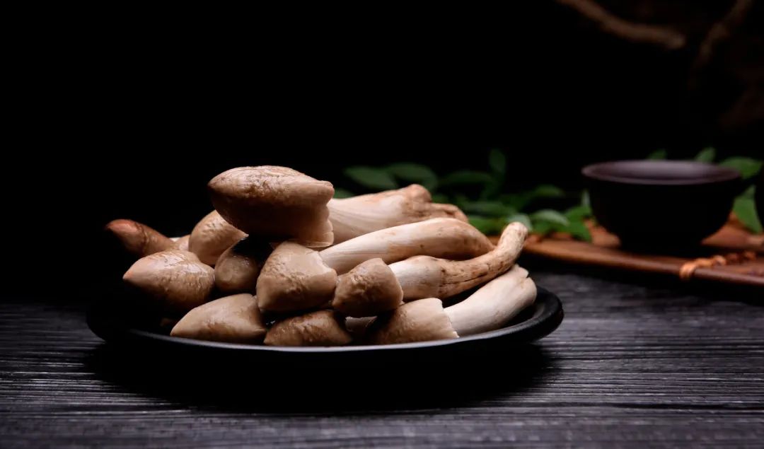 云南好吃的野生菌有哪些,云南野生菌最好吃的哪几种