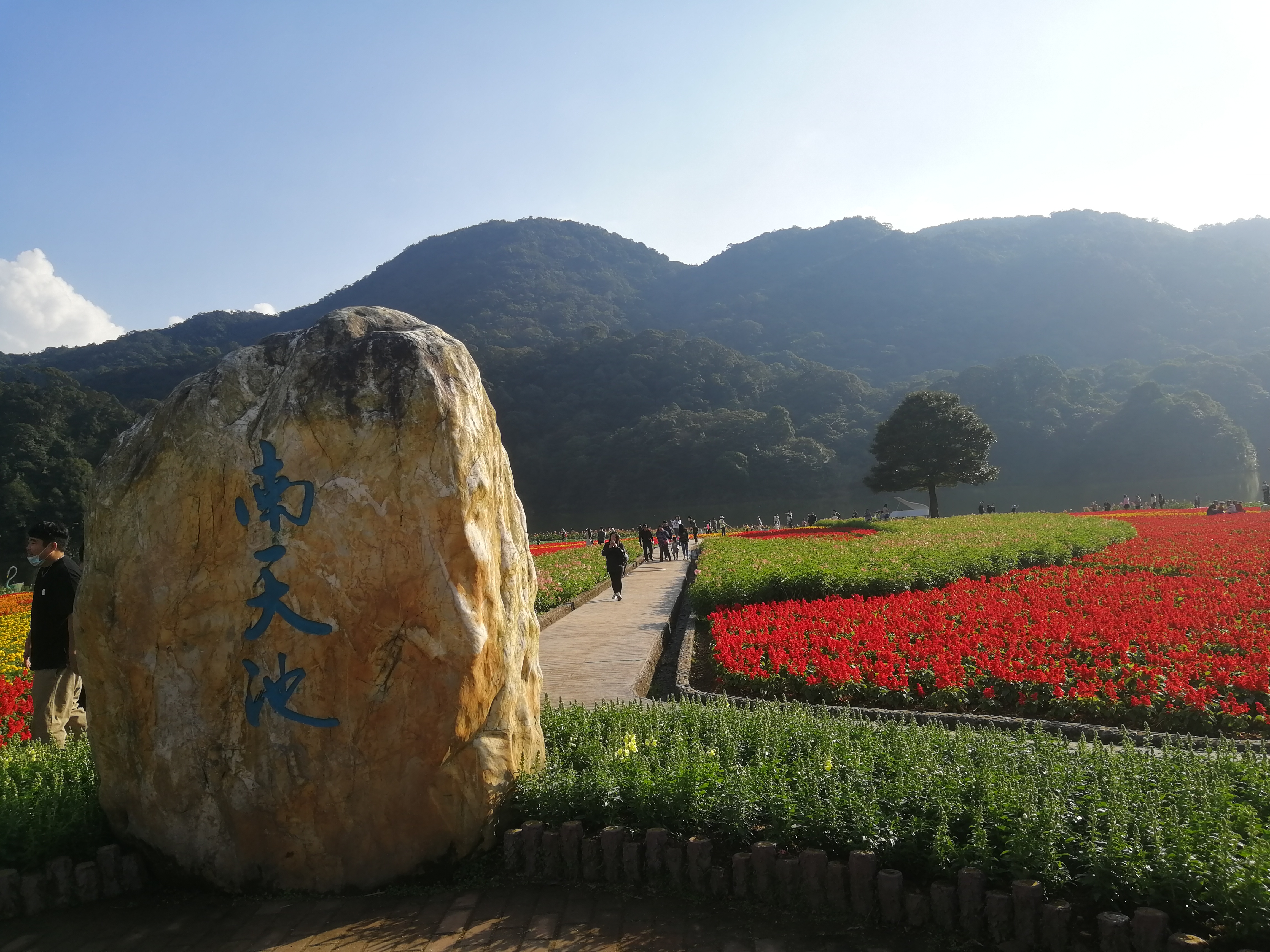石门森林公园樱花谷交通线路,从化石门公园枫叶
