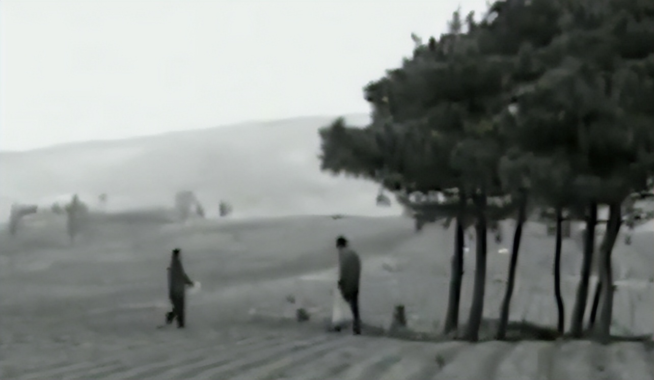 吉林女子好心救下毒蛇下集,吉林农妇好心收养毒蛇